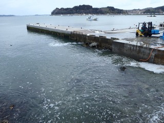 20130214_013旧志津川町南部水戸辺