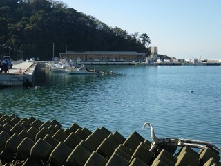 20131114_030牡鹿半島給分浜