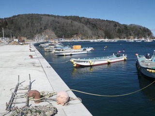 20150305_016女川尾浦