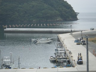 20150901_023牡鹿半島月浦