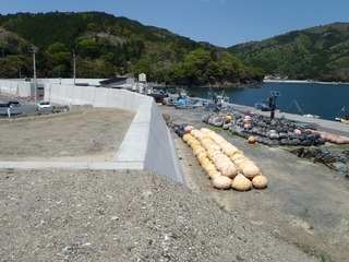 20190508_001牡鹿半島折浜