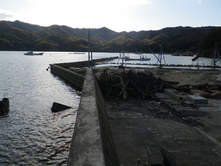 20111116_035女川指ヶ浜桟橋