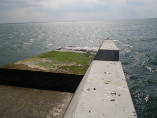 20120328_052牡鹿半島狐崎