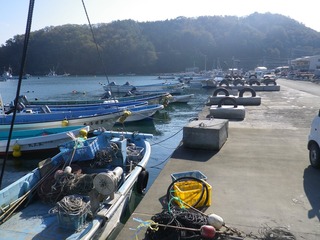 20131106_031女川尾浦