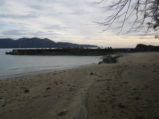 20111206_001雄勝波板