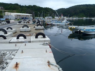 20140709_015女川尾浦