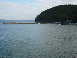 20111109_016旧志津川町南部津ノ宮