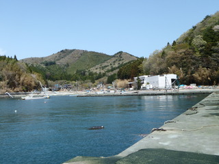 20110504_023女川指ケ浜