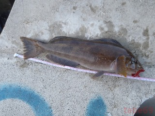 20200620_002雄勝