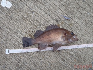20200922_002雄勝