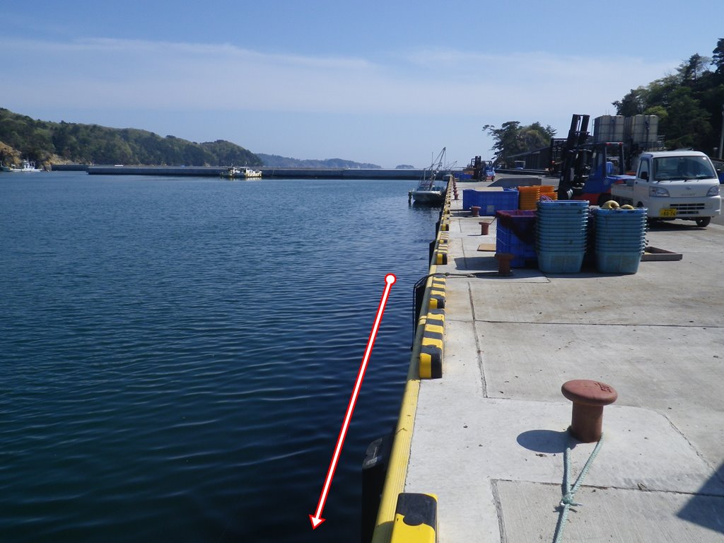 Tabe S Fishing Blog コメントのお礼と4月30日のメバルの釣り方 Tabe S Fishing Blog コメントのお礼と4月30日のメバルの釣り方