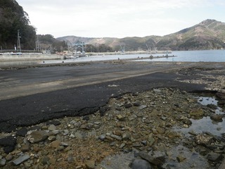 20151231_001雄勝分浜水浜