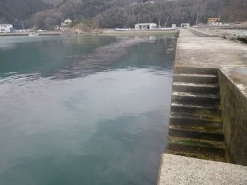 20120328_100牡鹿半島渡波佐須