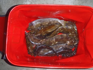 20141231_001雄勝唐桑+水浜