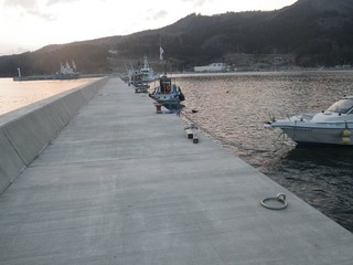 201703330_004牡鹿半島桃浦