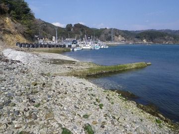 20120328_071牡鹿半島荻浜