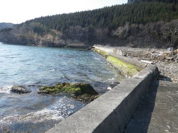 20120328_072牡鹿半島荻浜