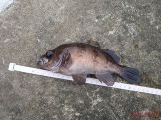 20200922_001雄勝