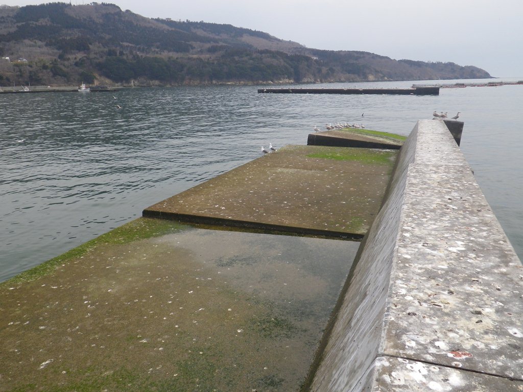 Tabe S Fishing Blog 牡鹿半島西部各漁港 鮎川 鹿立漁港 の写真 12年3月28日撮影