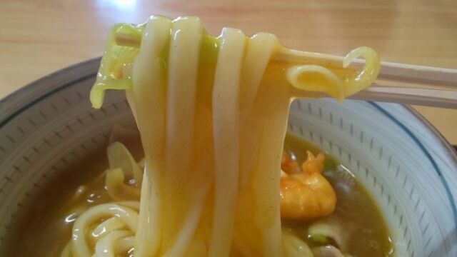 もち入りポークカレーうどん3