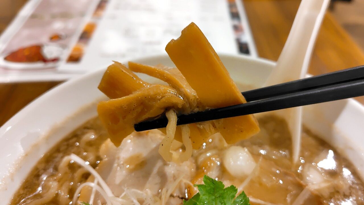 白湯煮干しラーメン 9
