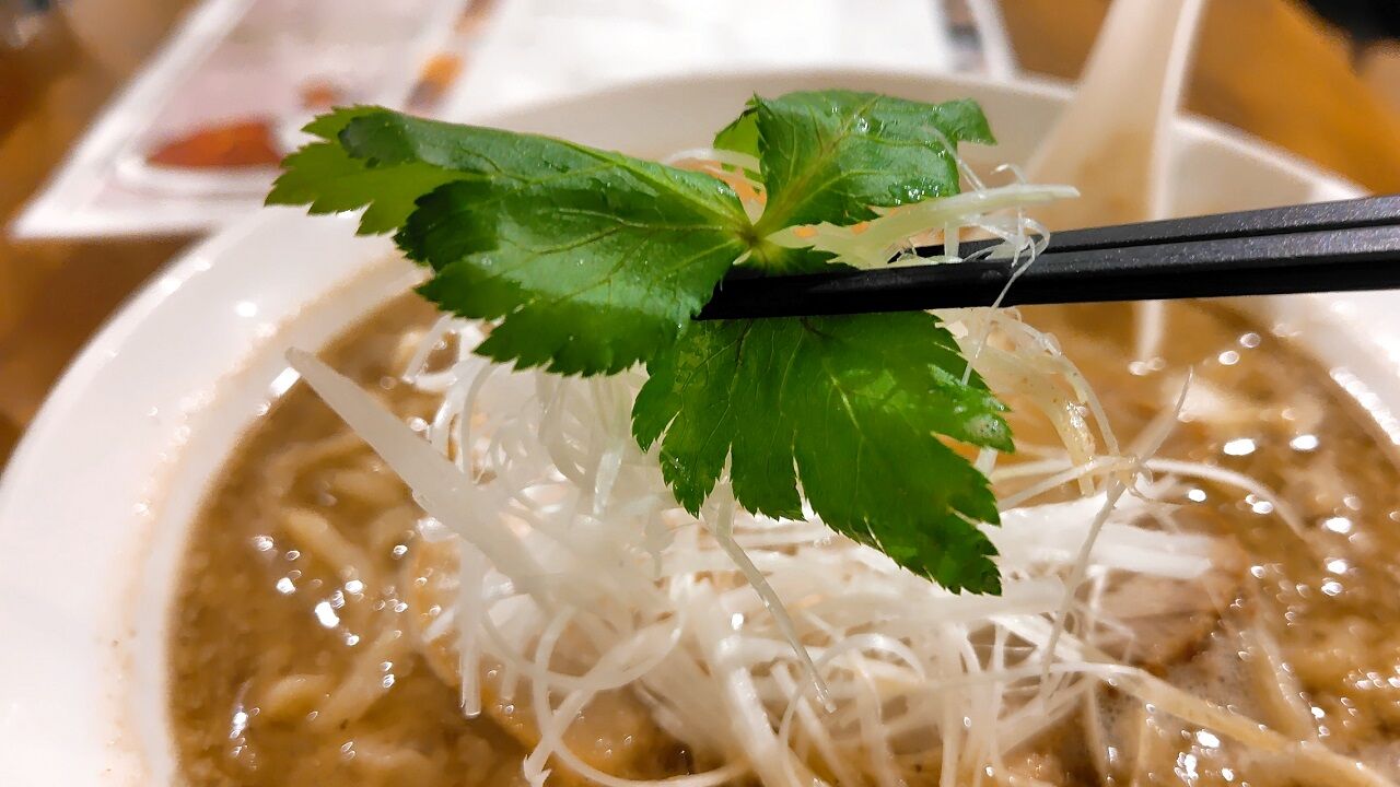 白湯煮干しラーメン 7