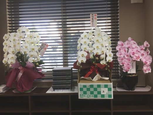 ÊÀ¼Ò°Üž¤Î¤ªÃΤ餻