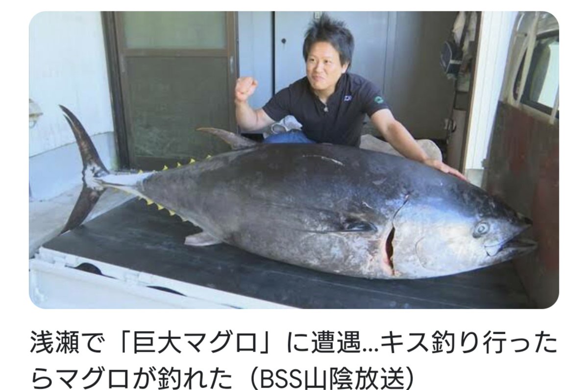 浅瀬で 巨大マグロ に遭遇 キス釣り行ったらマグロが釣れた ぼっちゃんのブログ 浅瀬で 巨大マグロ に遭遇 キス釣り行ったらマグロが釣れた ぼっちゃんのブログ