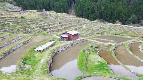 29694579_2068704336709412_6388042066366038016_n