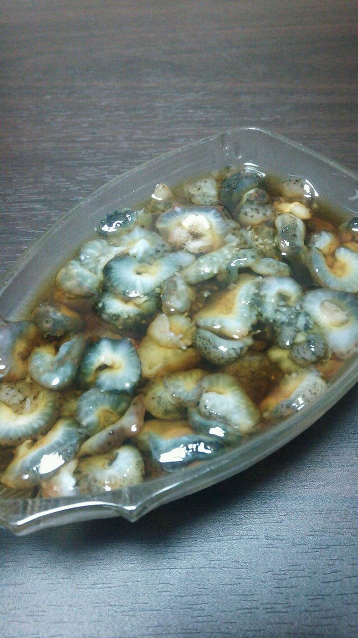 気持ち悪いけど美味しい なまこを食べよう 佐々木様をボクがサポート 気持ち悪いけど美味しい なまこを食べよう 佐々木様をボクがサポート