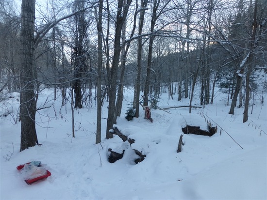 image_8