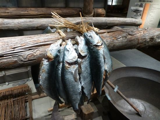 image_36