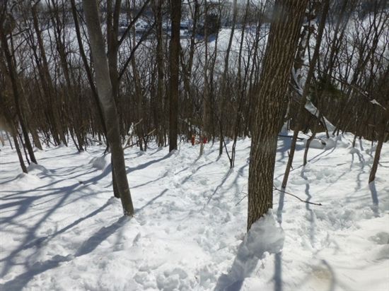 image_2