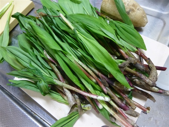 image_1