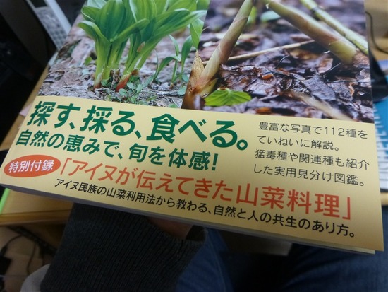 image_0