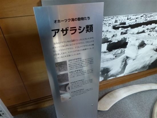 image_77