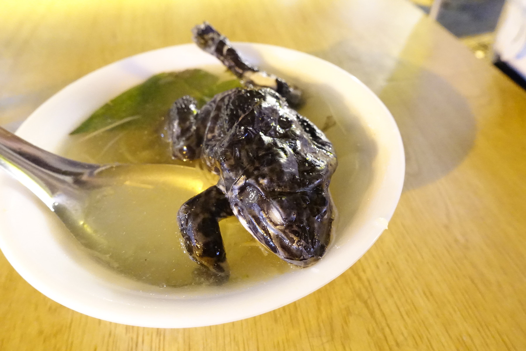 要注意 青蛙湯魯肉飯 夜市の蛙スープはカエルが丸ごとはいっていまし