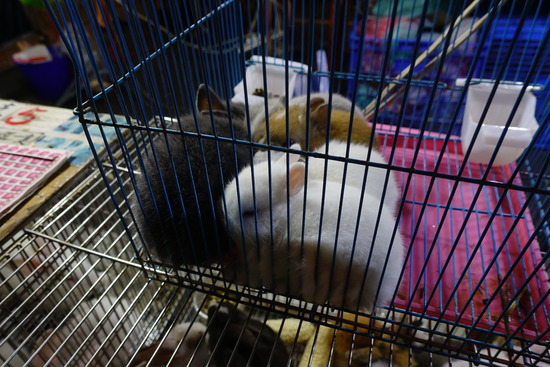 DSC03614