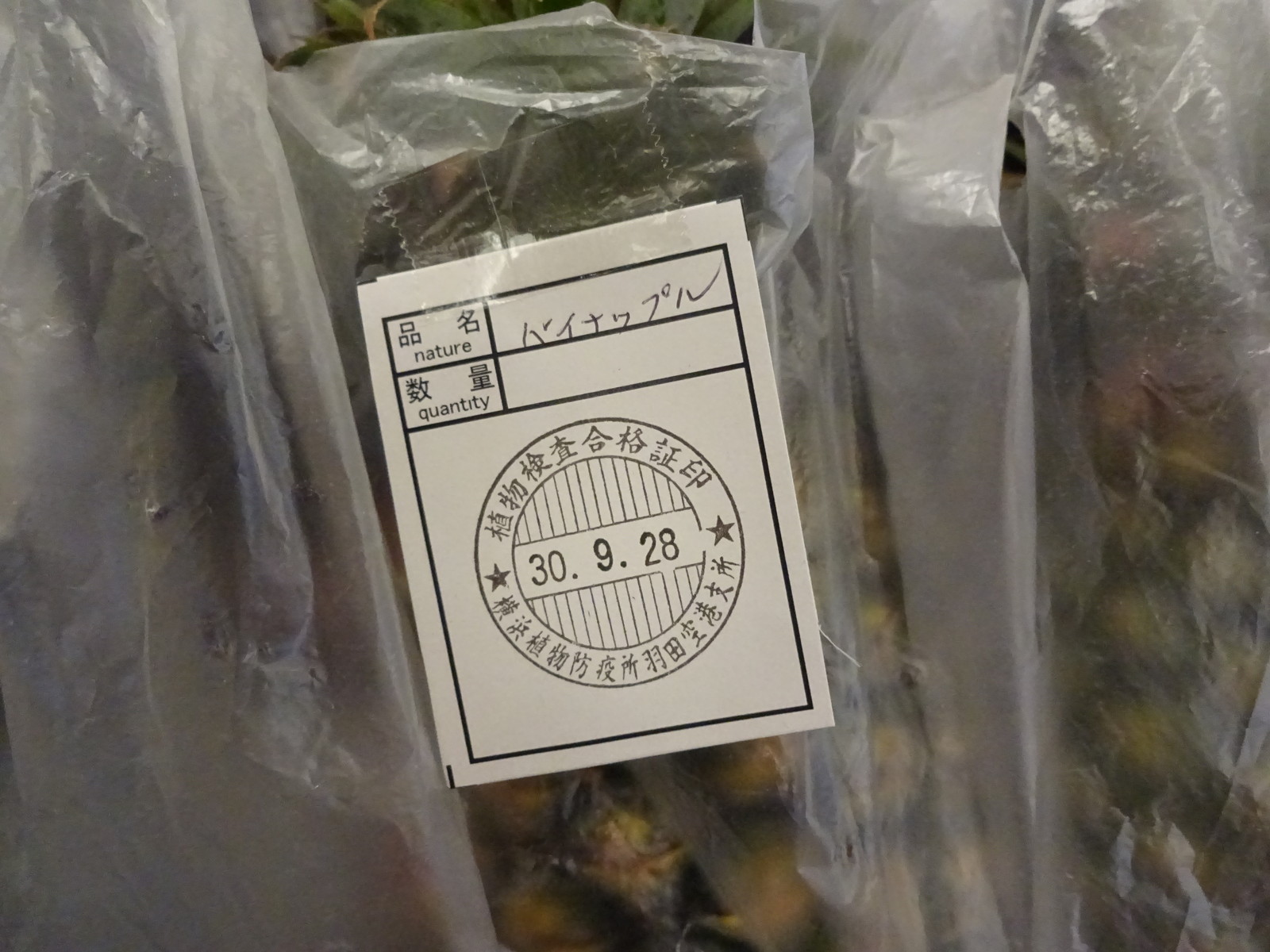 コラム】台湾の空港でパイナップルの輸出植物検疫を受けてみました