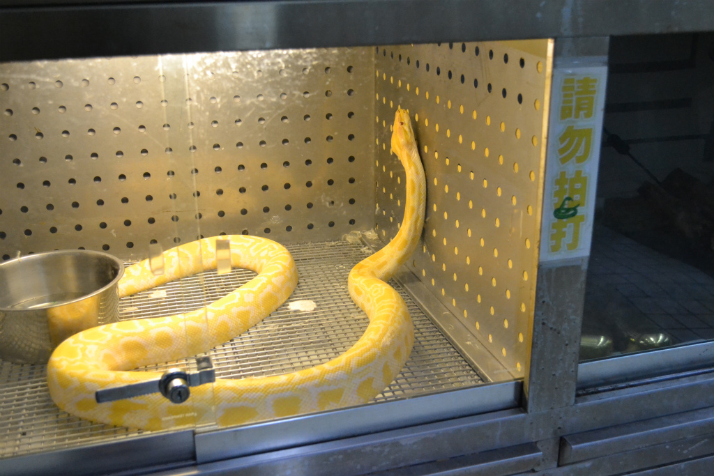閉店 亜州毒蛇研究所 毒蛇の肉 血 毒 を食す 食べ台湾 美味しい台北 Powered By ライブドアブログ