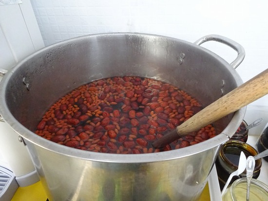 写真 2019-01-25 12 55 43