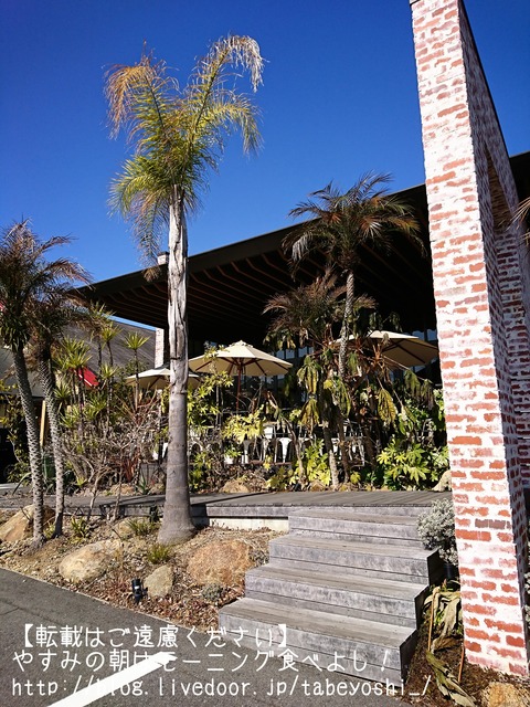 18-02-26-23-21-53-332_deco