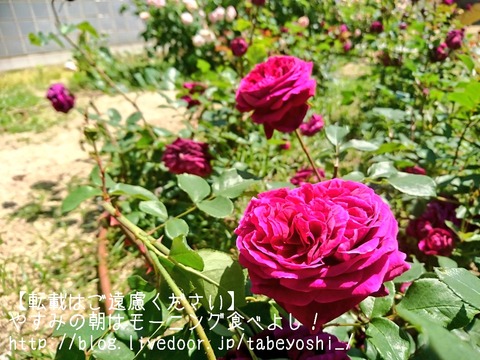18-05-09-12-18-07-211_deco