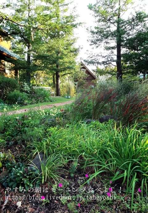 16-10-31-18-06-23-113_deco