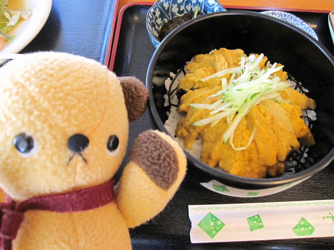 沖縄旅行 2日目 2 瀬底島 古宇利島 ウニ丼 きーちゃん日記 沖縄旅行 2日目 2 瀬底島 古宇利島 ウニ丼 きーちゃん日記