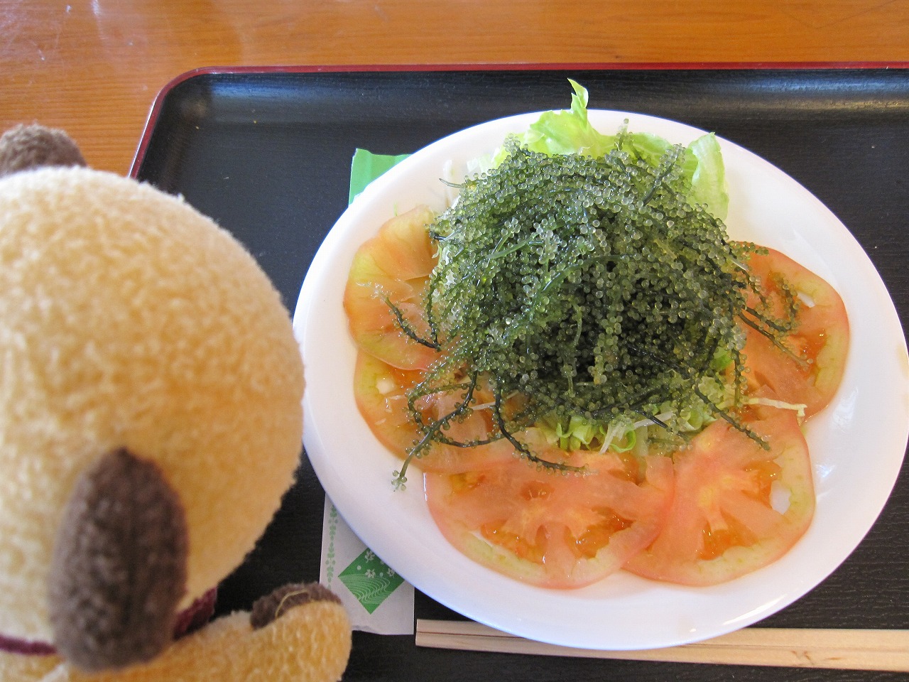 沖縄旅行 2日目 2 瀬底島 古宇利島 ウニ丼 きーちゃん日記 沖縄旅行 2日目 2 瀬底島 古宇利島 ウニ丼 きーちゃん日記