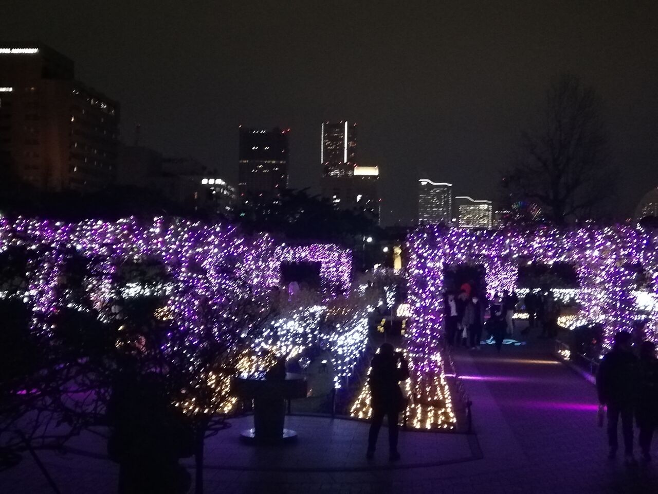 12月の横浜 山下公園を散歩 心はいつだって旅人 音楽と共に旅に出よう 12月の横浜 山下公園を散歩 心はいつだって旅人 音楽と共に旅に出よう