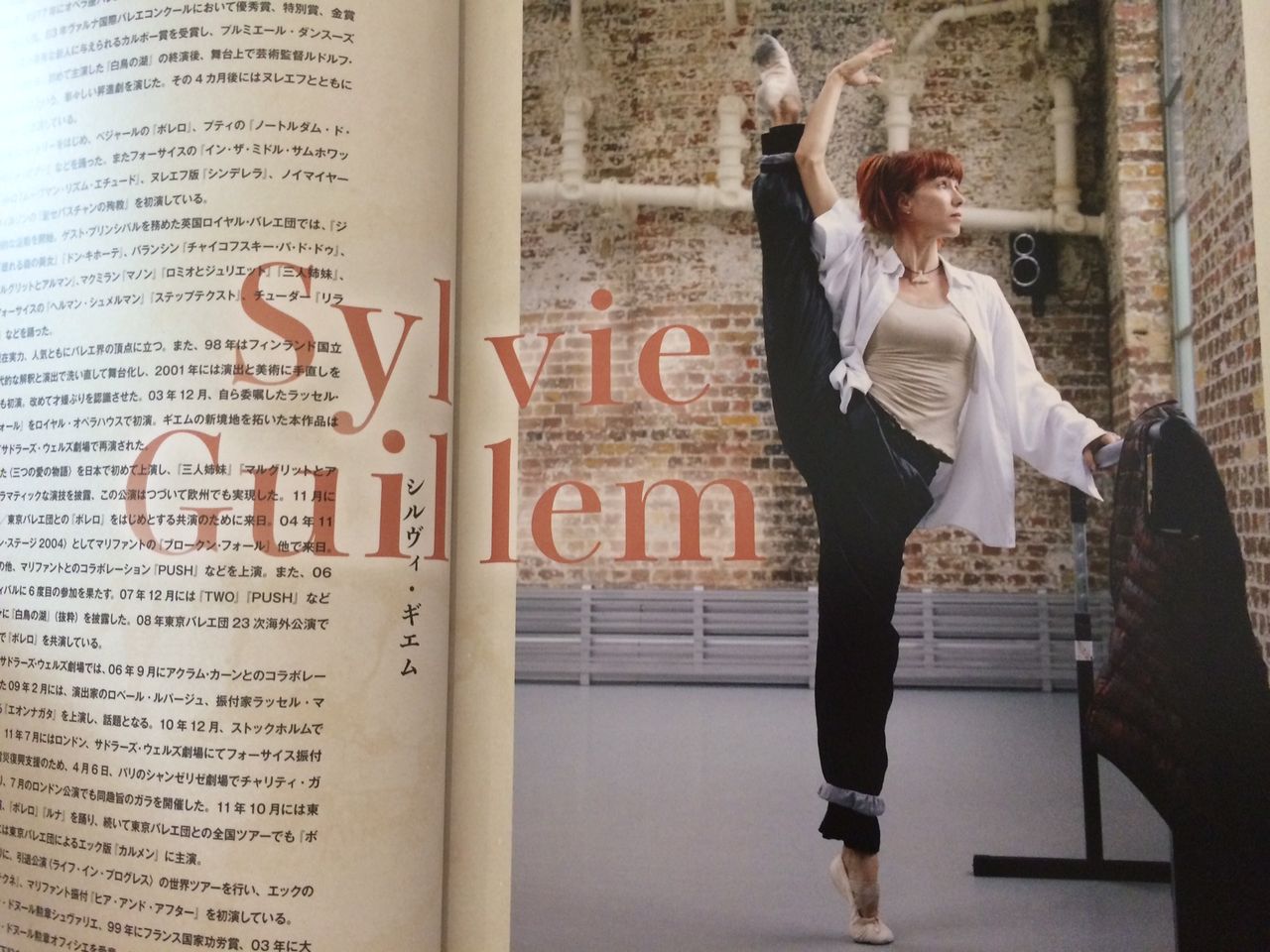 シルヴィ・ギエム : たびそーだのblog