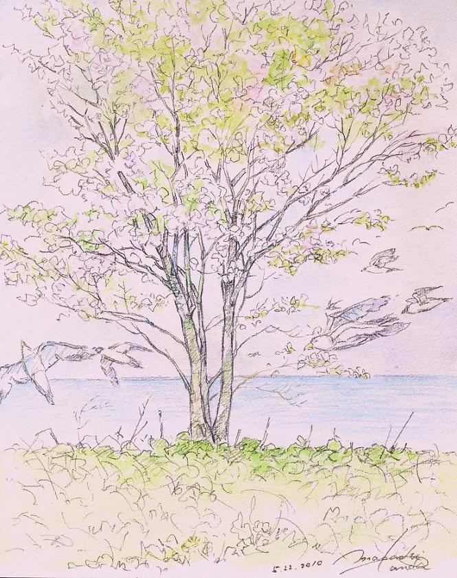 スケッチブックから 道南 落部の海 F3 鉛筆淡彩 放浪画家 旅びっとん こと 画家 神田雅志 のブログ スケッチブックから 道南 落部の海 F3 鉛筆淡彩 放浪画家 旅びっとん こと 画家 神田雅志 のブログ