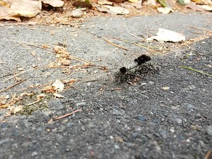 20150910_071109